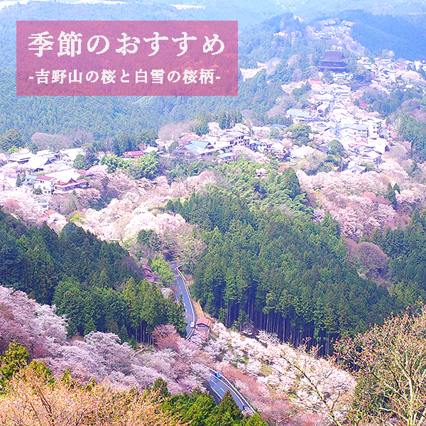 お知らせ | 白雪ふきん｜蚊帳生地から生まれた、雪のように真っ白で